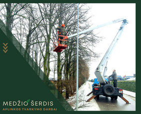 Medžių pjovimas ir genėjimas. Visi aplinkos tvarkymo darbai / MEDŽIO ŠERDIS / Darbų pavyzdys ID 2589022