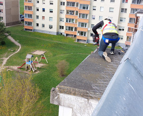 Kenkėjų Kontrolės Paslaugos (verslui, namams, ūkiams) / UAB NAIKINTA / Darbų pavyzdys ID 2589842