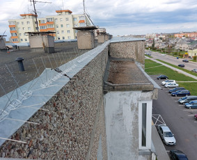 Kenkėjų Kontrolės Paslaugos (verslui, namams, ūkiams) / UAB NAIKINTA / Darbų pavyzdys ID 2589898