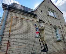 Kenkėjų Kontrolės Paslaugos (verslui, namams, ūkiams) / UAB NAIKINTA / Darbų pavyzdys ID 2590050