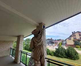 Kenkėjų Kontrolės Paslaugos (verslui, namams, ūkiams) / UAB NAIKINTA / Darbų pavyzdys ID 2590052