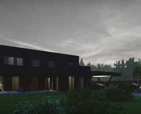 3d Modeliavimas/interjero/eksterjetro vizualizacijos / Tomas Le / Darbų pavyzdys ID 2594088