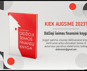 Geresnis dizainas. Geresni rezultatai. Padėjome +300 įmonių / Mantas Vileišis / Darbų pavyzdys ID 2594918
