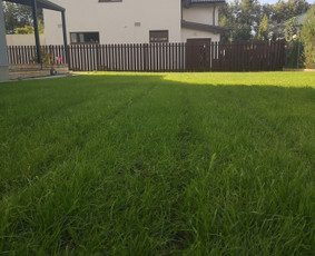 Vejos įrengimas, apželdinimas, laistymo sistemos / MB Sėja Veją / Darbų pavyzdys ID 2596812