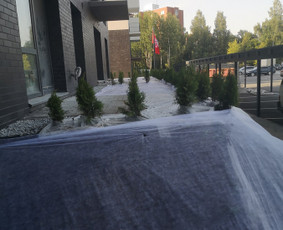 Vejos įrengimas, apželdinimas, laistymo sistemos / MB Sėja Veją / Darbų pavyzdys ID 2596822