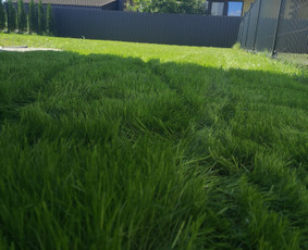 Vejos įrengimas, apželdinimas, laistymo sistemos / MB Sėja Veją / Darbų pavyzdys ID 2596828