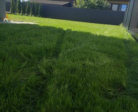 Vejos įrengimas, apželdinimas, laistymo sistemos / MB Sėja Veją / Darbų pavyzdys ID 2596834
