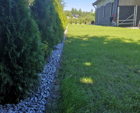 Vejos įrengimas, apželdinimas, laistymo sistemos / MB Sėja Veją / Darbų pavyzdys ID 2596842