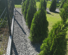 Vejos įrengimas, apželdinimas, laistymo sistemos / MB Sėja Veją / Darbų pavyzdys ID 2596844