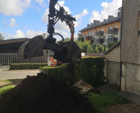 Vejos įrengimas, apželdinimas, laistymo sistemos / MB Sėja Veją / Darbų pavyzdys ID 2596848