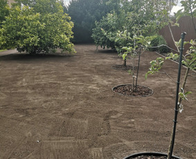 Vejos įrengimas, apželdinimas, laistymo sistemos / MB Sėja Veją / Darbų pavyzdys ID 2596858