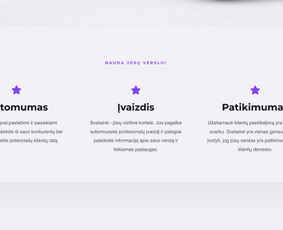 Svetainių talpinimas (Hosting) - Greitas internetinių svetainių kūrimas ir priežiūra - 1