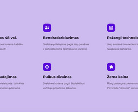 Interneto svetainių priežiūra - Greitas internetinių svetainių kūrimas ir priežiūra - 1