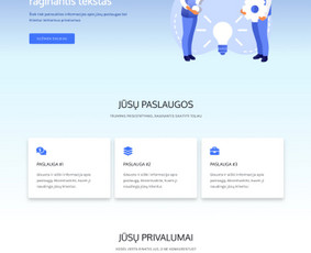 Interneto svetainių kūrimas - Greitas internetinių svetainių kūrimas ir priežiūra - 1