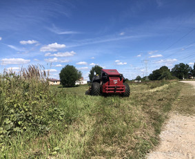 Avarinių medžių pjovimas/ žolės pjovimas. / Arboristas Egidijus / Darbų pavyzdys ID 2599416