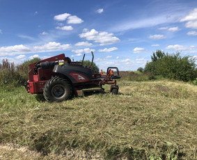 Avarinių medžių pjovimas/ žolės pjovimas. / Arboristas Egidijus / Darbų pavyzdys ID 2599418