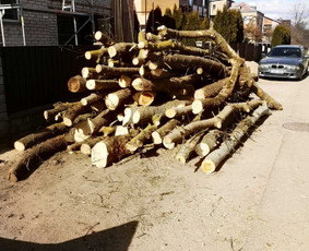 Avarinių medžių pjovimas/ žolės pjovimas. / Arboristas Egidijus / Darbų pavyzdys ID 2599424