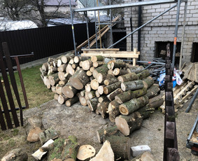Avarinių medžių pjovimas/ žolės pjovimas. / Arboristas Egidijus / Darbų pavyzdys ID 2599426