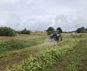 Avarinių medžių pjovimas/ žolės pjovimas. / Arboristas Egidijus / Darbų pavyzdys ID 2599430