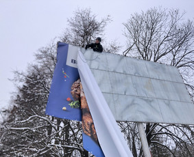 Avarinių medžių pjovimas/ žolės pjovimas. / Arboristas Egidijus / Darbų pavyzdys ID 2599440