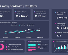 Ataskaitos, duomenų analitika, statistikos, skaičiavimai. / Kristina Lašaitė / Darbų pavyzdys ID 2602898