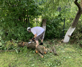 Genėjimas, apželdinimas ir kiti aplinkotvarkos darbai / Dainius Kubilius / Darbų pavyzdys ID 2603046