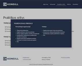 Interneto Svetainių ir El. Parduotuvių kūrimas. Seo darbai! / Artix.lt / Darbų pavyzdys ID 2604120