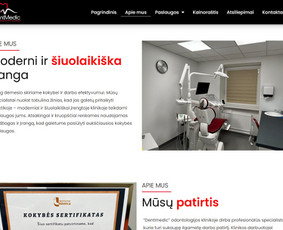Interneto Svetainių ir El. Parduotuvių kūrimas. Seo darbai! / Artix.lt / Darbų pavyzdys ID 2604124