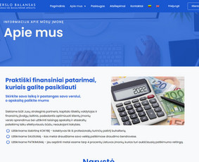 Interneto Svetainių ir El. Parduotuvių kūrimas. Seo darbai! / Artix.lt / Darbų pavyzdys ID 2604136
