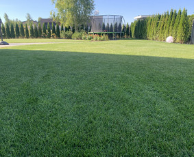 Laistymo sistemos įrengimas / Simas Stanišauskas / Darbų pavyzdys ID 2606412