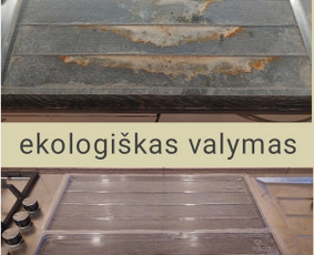 Valymas garais - Ekologi&scaron;kas valymas - 3