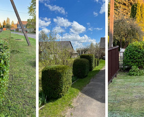Medžių pjovimas-genėjimas/gyvatvorių karpymas / MB Medžio Kvapas / Darbų pavyzdys ID 2607590