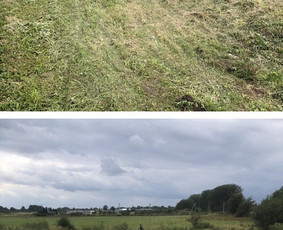 Medžių pjovimas-genėjimas/gyvatvorių karpymas / MB Medžio Kvapas / Darbų pavyzdys ID 2607598