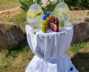 Vestuvių ir kitų švenčių dekoravimas / Studija Dekoflora / Darbų pavyzdys ID 2609930