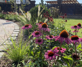 Apželdinimo darbai, laistymo sistemos įrengimas - Alpinariumų, gėlynų įrengimas - 2 Alpinariumų, gėlynų įrengimas - Apželdinimo darbai, laistymo sistemos įrengimas - 2