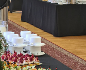 Konferencijų ir seminarų organizavimas - Asmeninių ir įmonių renginių organizatorė-koordinatorė. - 4