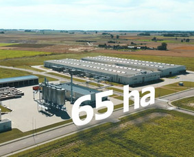 "Dovista" įmonės pristatomasis vaizdo klipas.