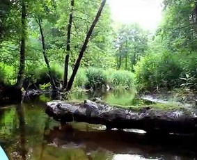 Baidarių nuoma su nakvyne. Nuo Vilniaus tik valanda kelio! - Baidarių nuoma - 4 Baidarių nuoma - Baidarių nuoma su nakvyne. Nuo Vilniaus tik valanda kelio! - 4