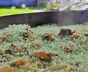 Virtuvės šefas, Food truck, Bbq, Grill, Paella, Plovas. / Tadas / Darbų pavyzdys ID 2616908