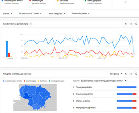 Raktinių žodžių analizė ir parinkimas - "Google Ads" reklama - Seo paslaugos - 3