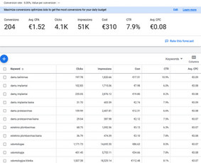 Raktinių žodžių analizė ir parinkimas - "Google Ads" reklama - Seo paslaugos - 2