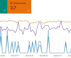 "Google Ads" reklama - Seo paslaugos / Viltaras Statkus| wayup / Darbų pavyzdys ID 2617872
