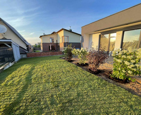 Gerbūvio ir arborizmo paslaugos / Laurynas / Darbų pavyzdys ID 2619336
