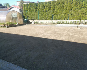 Gerbūvio ir arborizmo paslaugos / Laurynas / Darbų pavyzdys ID 2619352