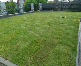 Gerbūvio ir arborizmo paslaugos / Laurynas / Darbų pavyzdys ID 2619356