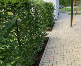 Genėjimas, apželdinimas ir kiti aplinkotvarkos darbai / Dainius Kubilius / Darbų pavyzdys ID 2621436