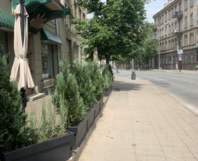 Genėjimas, apželdinimas ir kiti aplinkotvarkos darbai / Dainius Kubilius / Darbų pavyzdys ID 2621466