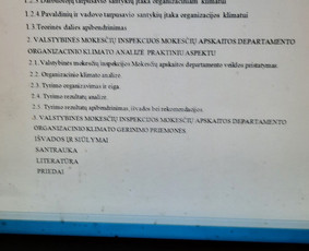 Profesionali pagalba rengiant rašto darbus / Dana / Darbų pavyzdys ID 2625338