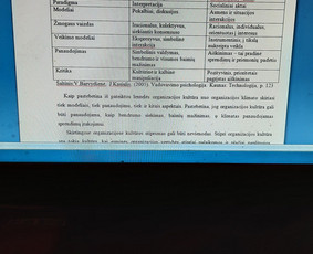 Profesionali pagalba rengiant rašto darbus / Dana / Darbų pavyzdys ID 2625342