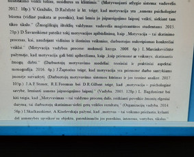 Profesionali pagalba rengiant rašto darbus / Dana / Darbų pavyzdys ID 2625360